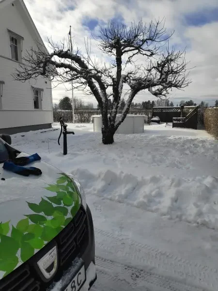 Företagsbil med ett träd i bakgrunden