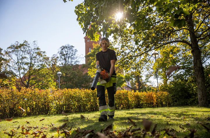 Vi arbetar med bostadsbolag, bostadsrättsföreningar och förvaltare för att skapa välskötta miljöer i Östergötland.